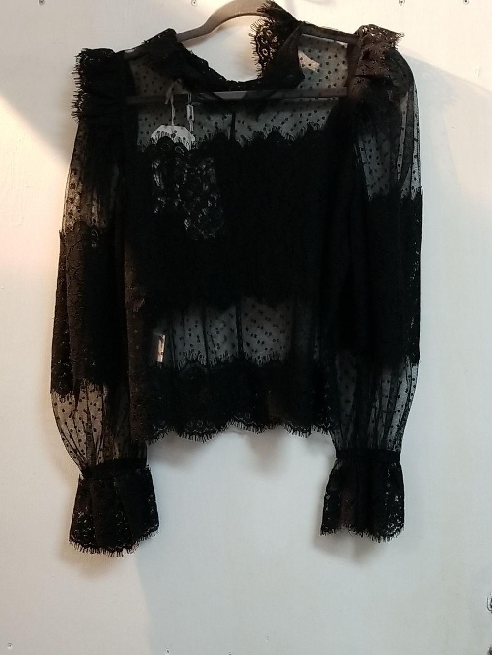 Women's Black Sheer Lace Blouse with Dotted Swiss Detail